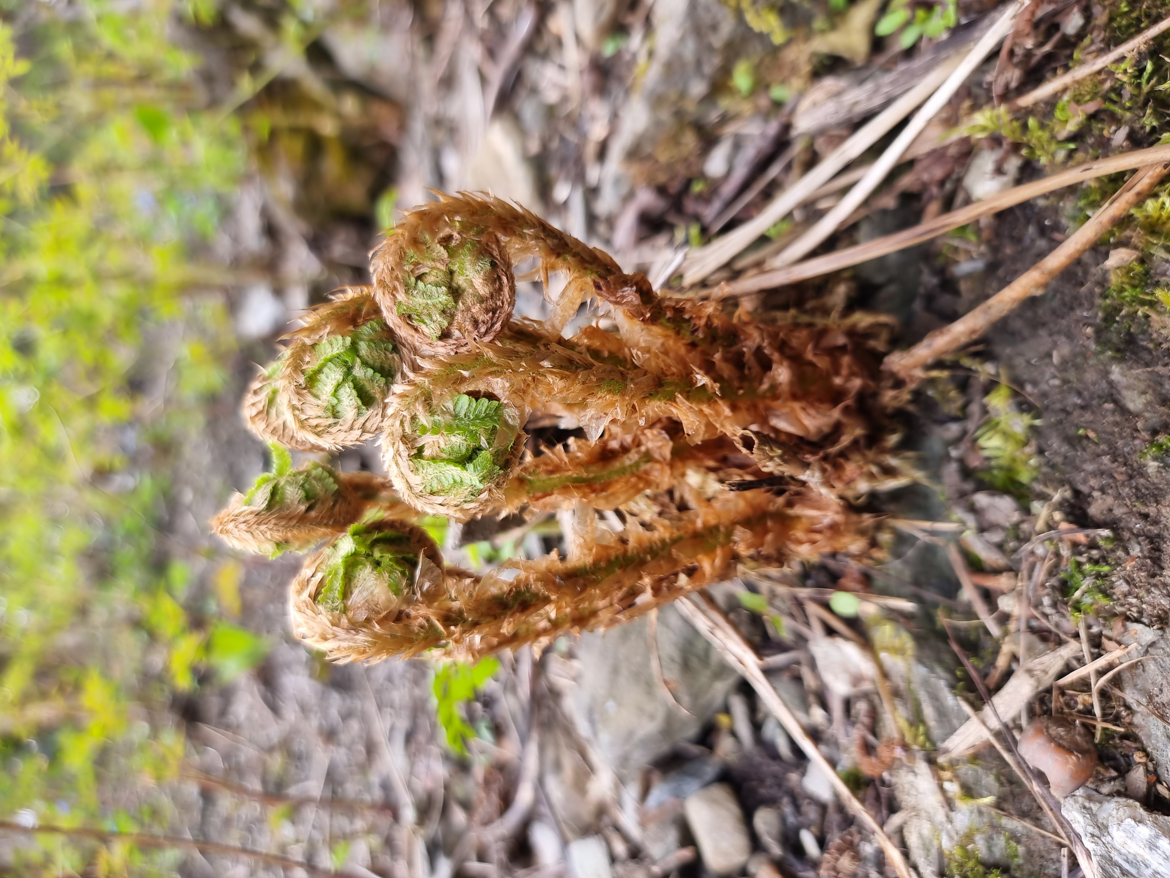 Wer wir sind Wer wir sind